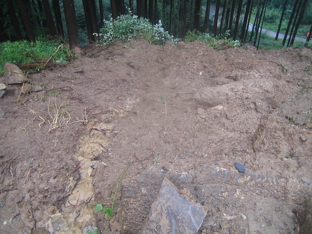 bild (21)